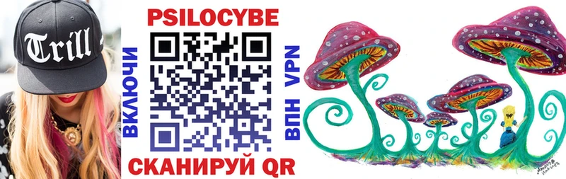 Псилоцибиновые грибы Psilocybe  купить  сайты  даркнет официальный сайт  Александровское  гидра зеркало 